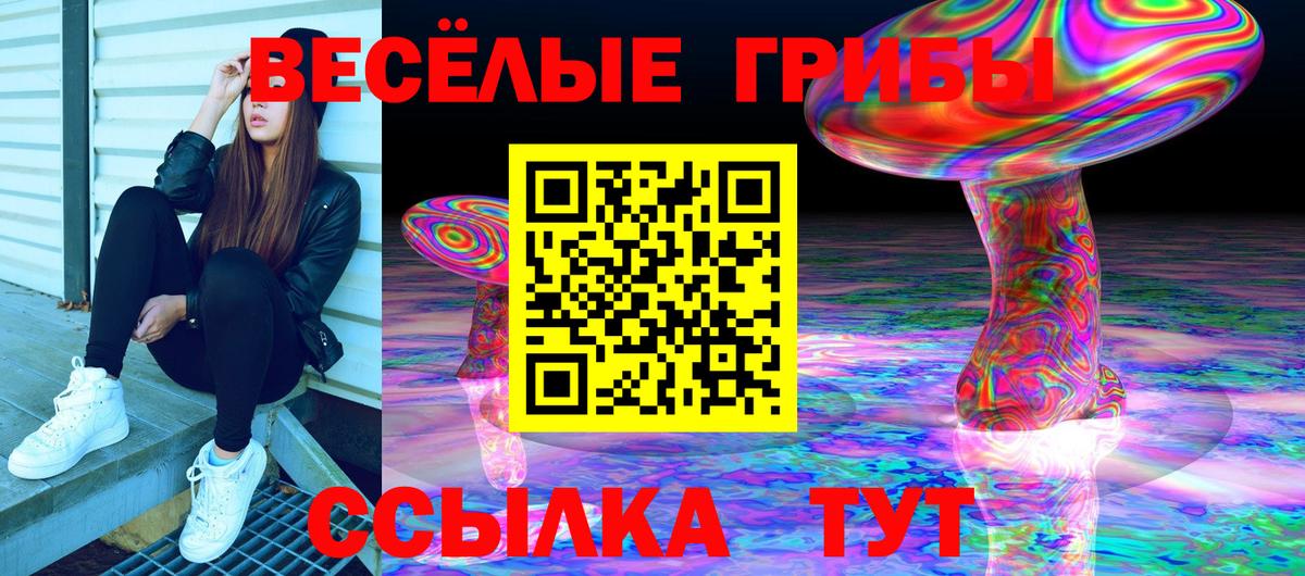 Галлюциногенные грибы GOLDEN TEACHER Ирбит